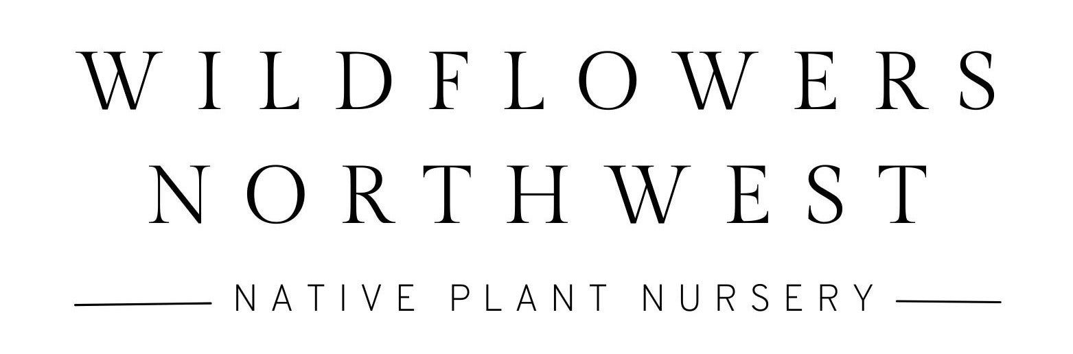 Home Wildflowers Northwest Native Plant Nursery